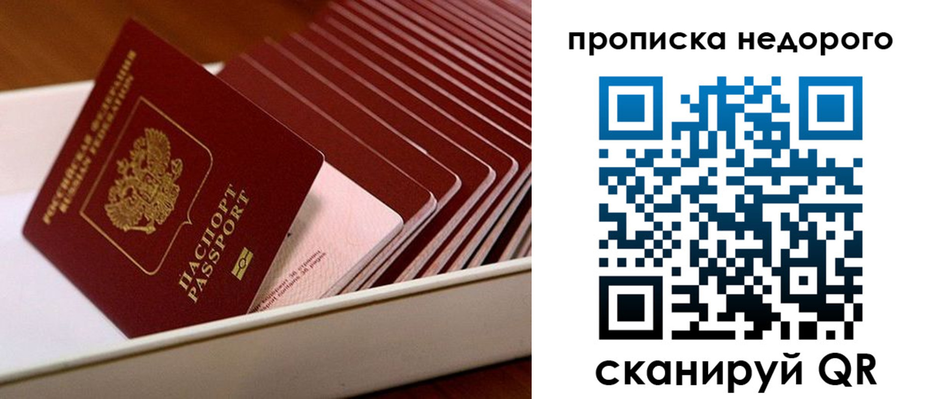 прописка паспорт в Торжоке
